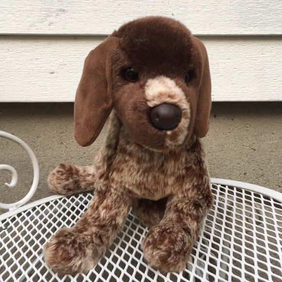 Other - Brown Douglas Dog